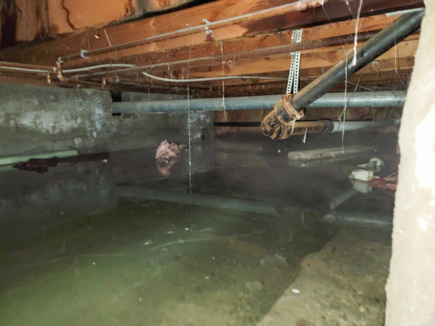 Best Emergency water damage restoration  in Cedar Mill, OR