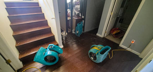 Best Water damage restoration company  in Cedar Mill, OR