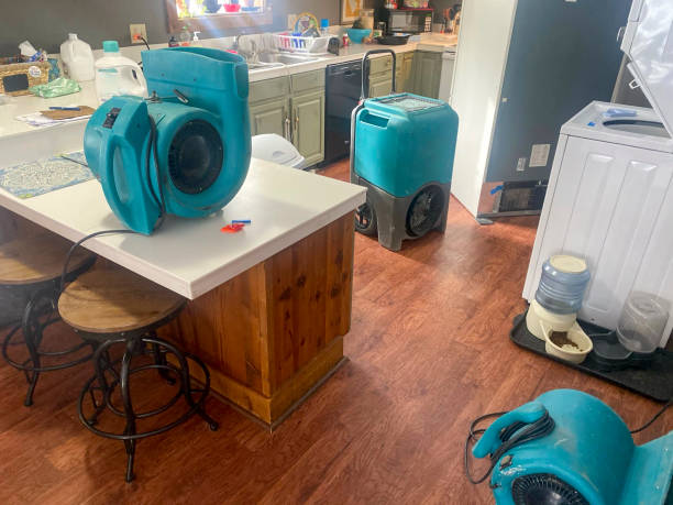Best Water damage contractors near me  in Cedar Mill, OR
