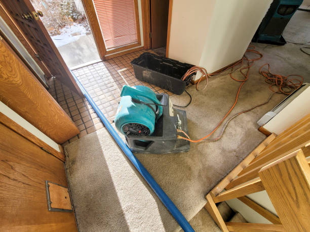 Best Sewage cleanup and water damage restoration  in Cedar Mill, OR