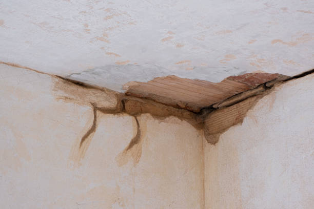 Best Fire Damage Restoration  in Cedar Mill, OR