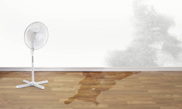Best Flood restoration services  in Cedar Mill, OR