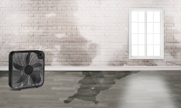 Best Water damage restoration near me  in Cedar Mill, OR