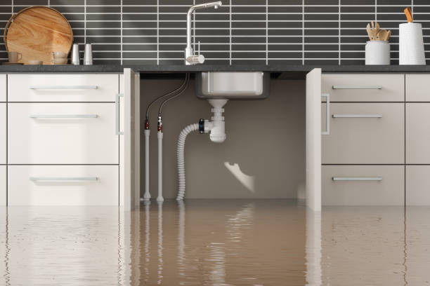 Local water damage restoration in Cedar Mill, OR