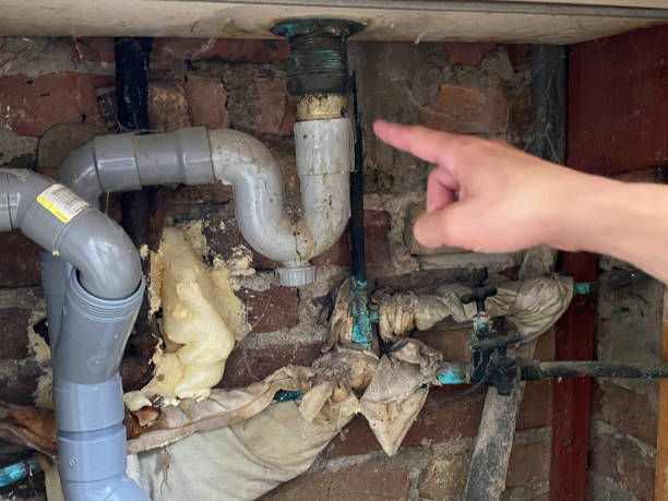 Best Water damage restoration near me  in Cedar Mill, OR