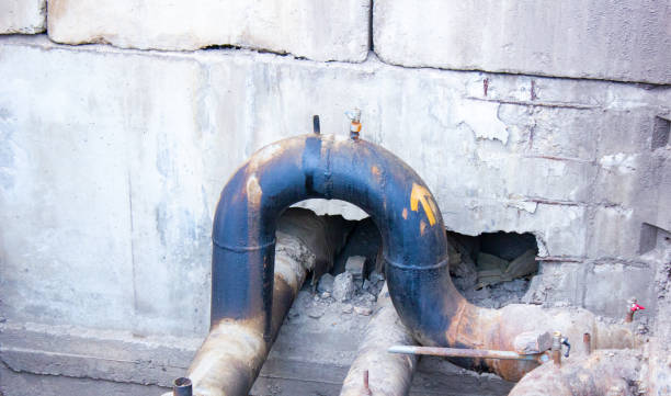 Best Flood damage cleanup  in Cedar Mill, OR