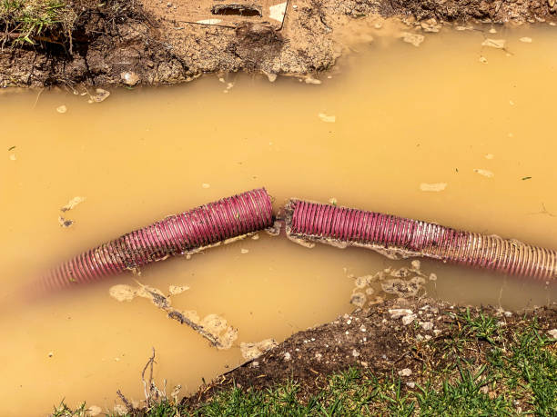 Best Basement water damage restoration  in Cedar Mill, OR