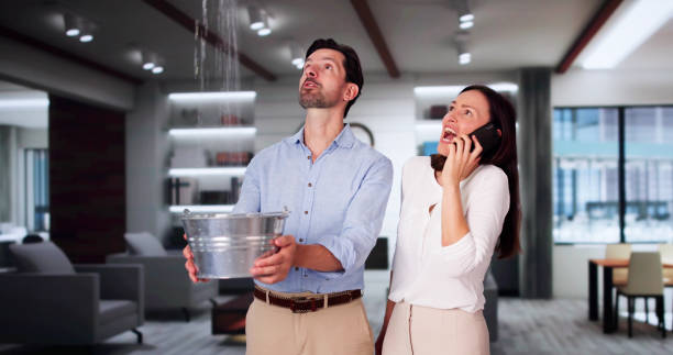 Best Commercial water damage restoration  in Cedar Mill, OR