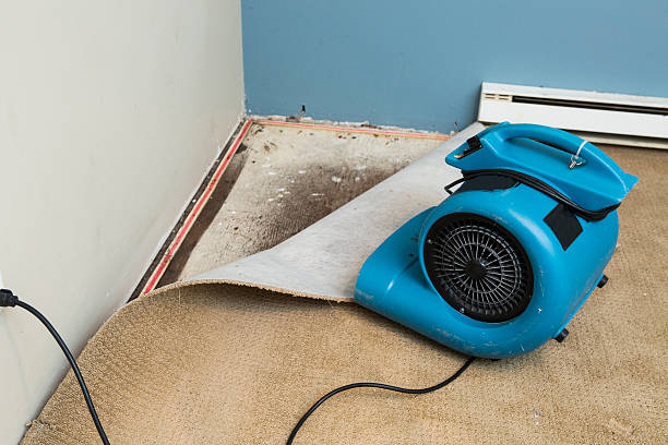 Best 24-hour water damage restoration  in Cedar Mill, OR
